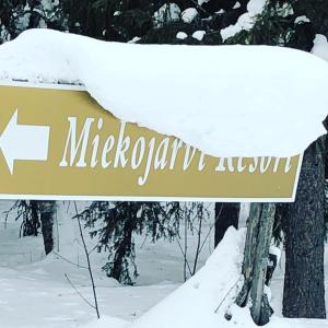 Miekojärvi Resort v zimě