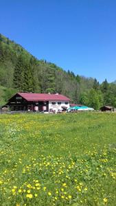 a field of flowers in front of a building at Cafe Christlessee in Oberstdorf
