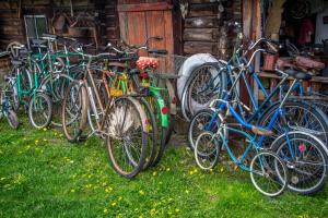 Cykling ved Mesi Tare Guesthouse eller i nærheden