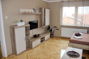 a living room with a tv and a entertainment center at Apartment Cherry in Zrenjanin