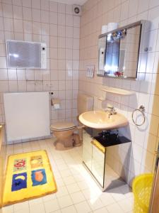 uma casa de banho com um lavatório, um WC e um espelho. em nette Ferienwohnung im Grünen em Idstein