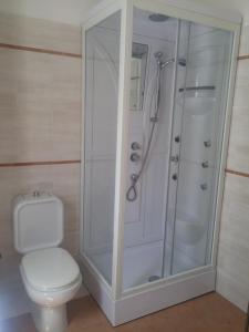 a bathroom with a shower and a toilet at Akron B&B in SantʼAlessio Siculo