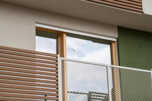 a balcony with two windows and a fence at Ingrappa Sporthouse in Borso del Grappa