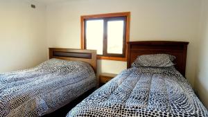 two beds sitting next to each other in a bedroom at Hospedaje Las Animas Valdivia in Valdivia +4 photos