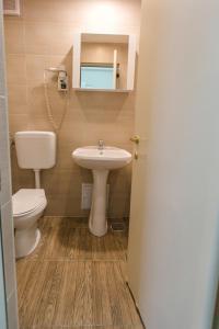 a bathroom with a sink and a toilet at Hotel Nufarul in Baile Felix