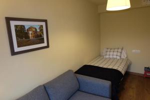 ein Wohnzimmer mit einem Sofa und einem Bett in der Unterkunft Apartaments Sant Miquel in Sant Joan de les Abadesses