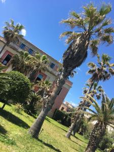a group of palm trees in front of a building at "Sabbinirica" in Syracuse