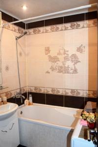 a bathroom with a bath tub and a sink at Apartment Lenina in Vitebsk