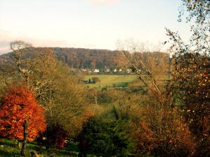 einen Blick auf ein Feld mit Bäumen im Hintergrund in der Unterkunft Tibbiwell Lodge in Painswick