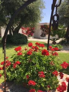 A garden outside Villa sul mare Rosa Marina