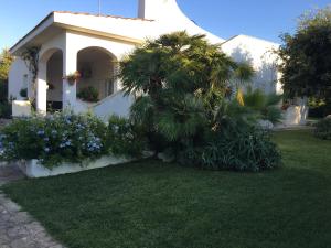 A garden outside Villa sul mare Rosa Marina
