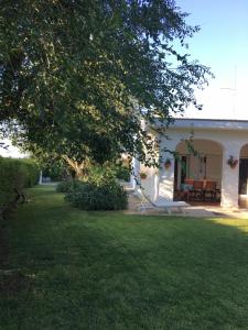A garden outside Villa sul mare Rosa Marina
