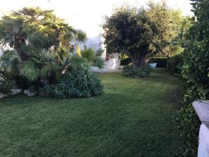 A garden outside Villa sul mare Rosa Marina