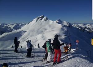 Skifahren in der Ferienwohnung oder in der Nähe