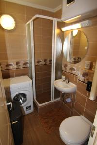 シオーフォクにあるAranyhíd Ilona Apartmanのバスルーム(トイレ、洗面台、シャワー付)
