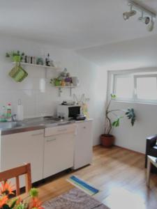 una cucina con lavandino e piano cottura di Nest Apartment a Dubrovnik