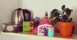 a shelf with products on top of a counter at Ca' Greta - Big apartment close Estoril beach in Sal Rei