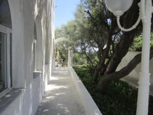 Fotografia z galérie ubytovania Hotel Caraibisiaco sul mare v destinácii San Pietro in Bevagna