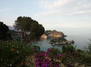 Φυσικό τοπίο κοντά σε αυτό το διαμέρισμα