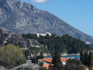 a view of a city with a mountain in the background at Apartment Veselin in Budva