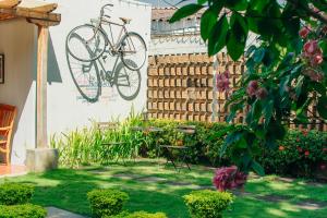 a bike hanging on a wall in a garden at La Bicicleta Hostal in Managua