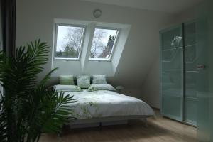 a bedroom with a bed and two windows at Im Grüntal in Aachen