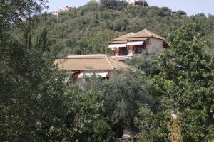 a house on the side of a hill with trees at Katerina Rooms in Syvota