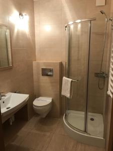 y baño con ducha, aseo y lavamanos. en Hotel Restauracja Willa Radwan en Aleksandrów Kujawski