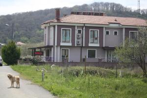 Zgrada u kojoj se nalazi hotel