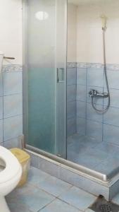 ein Bad mit einer Dusche und einem WC in der Unterkunft Apartments Petkovic in Sokobanja