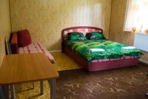 Mažonai的住宿－Globepark，一间卧室配有一张床、一把椅子和一张桌子