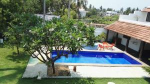 an overhead view of a swimming pool with a tree at Villa Anna Pondy in Pondicherry