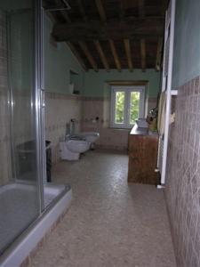 a bathroom with a shower and a toilet and a sink at La Coccinella di Silvia e Simone in Massarosa