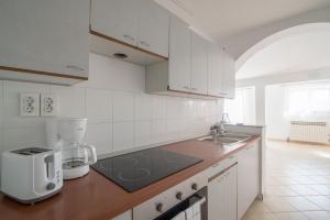 Kuchyň nebo kuchyňský kout v ubytování Apartment Lavanda