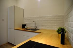 Kuchyňa alebo kuchynka v ubytovaní Budapest Danube Panorama Apartment