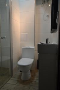 ein Bad mit einem WC, einem Waschbecken und einer Dusche in der Unterkunft SleepWell Apartments in Legnica