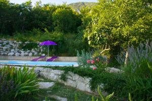 Zahrada ubytování Abeona Mediterranean Villa