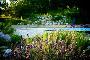 Zahrada ubytování Abeona Mediterranean Villa