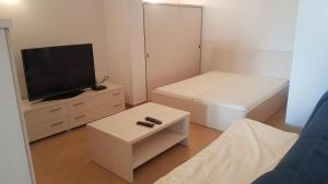 TV a/nebo společenská místnost v ubytování Apartment Katarina