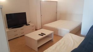 TV a/nebo společenská místnost v ubytování Apartment Katarina