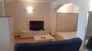 TV a/nebo společenská místnost v ubytování Apartment Katarina