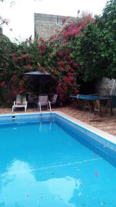 Bazén v ubytování Yucatan Vista Inn Guest House nebo v jeho okolí