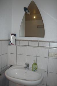 a bathroom with a sink and a mirror at Ferienwohnung Hammelburg in Hammelburg