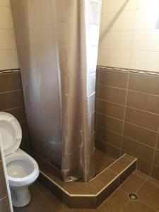 Koupelna v ubytování Guesthouse Gia