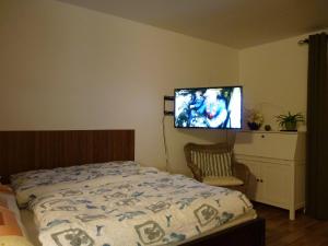 Schlafzimmer mit einem Bett und einem Flachbild-TV in der Unterkunft Apartmá Krkonoše in Martinice