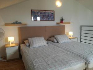 1 dormitorio con 1 cama grande y 2 almohadas en Apartments Henc, en Novigrad Istria