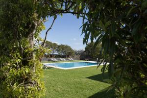 a swimming pool in a yard with grass and trees at Quinta de Santa Clara in Ponta Delgada
