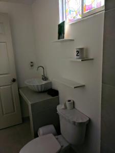 伊拉普阿托的住宿－Casa Roomies，一间带卫生间和水槽的浴室