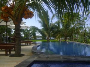 a swimming pool with a palm tree and benches at Villa Mangga Beach in Amed