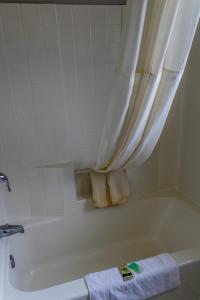 Ένα μπάνιο στο Lakeview Lodge Motel +11 φωτογραφίες